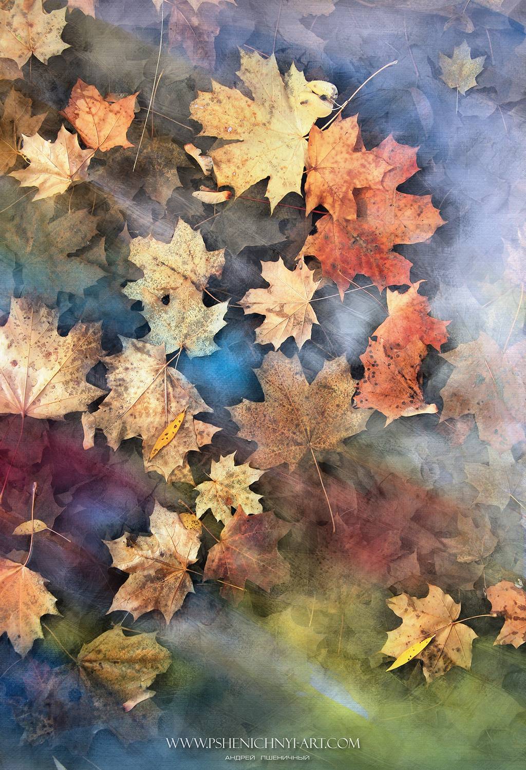 В потоке осенних красок. Автор: Пшеничный Андрей осень, кленовые листья, октябрь, палитра, вода, акварель, поток красок, опавшая листва, Пшеничный Андрей