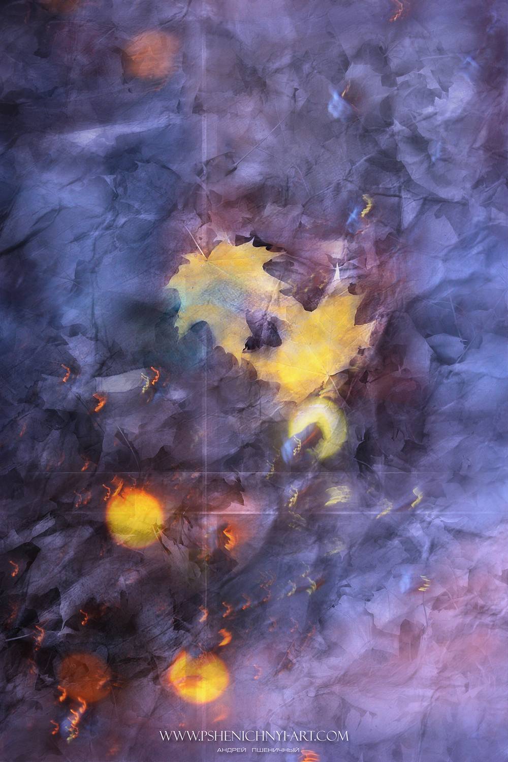 осень, кленовые листья, октябрь, дождь, огни, вода, блики, опавшая листва, Пшеничный Андрей