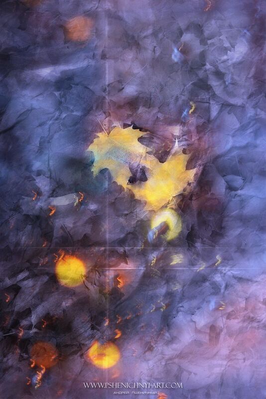 осень, кленовые листья, октябрь, дождь, огни, вода, блики, опавшая листва Мерцающие огни осениphoto preview