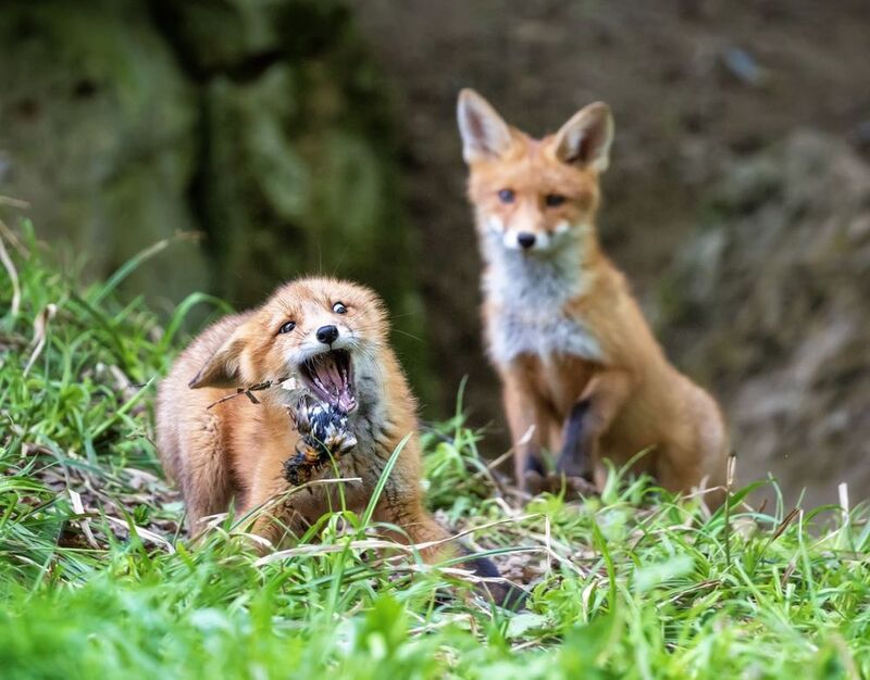 Птичку жалко фото превью