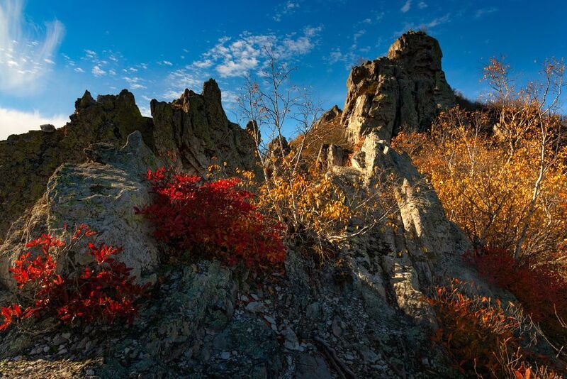 осень,рододендрон,кмв, бештау,пейзаж В царстве осеннего рододендронаphoto preview