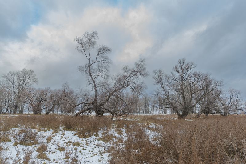 Ноябрьphoto preview