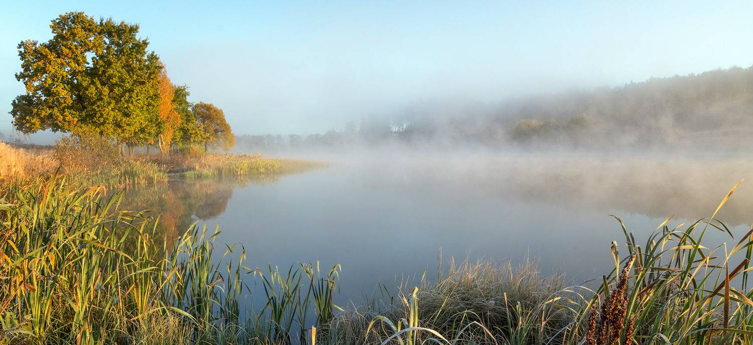 , Анатолий Зверев