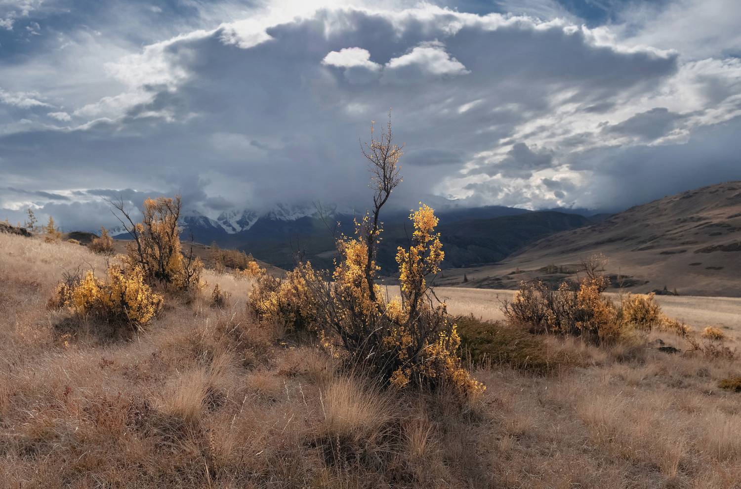 Осенние огоньки. Автор: Марина Фомина алтай, осень, непогода, Марина Фомина