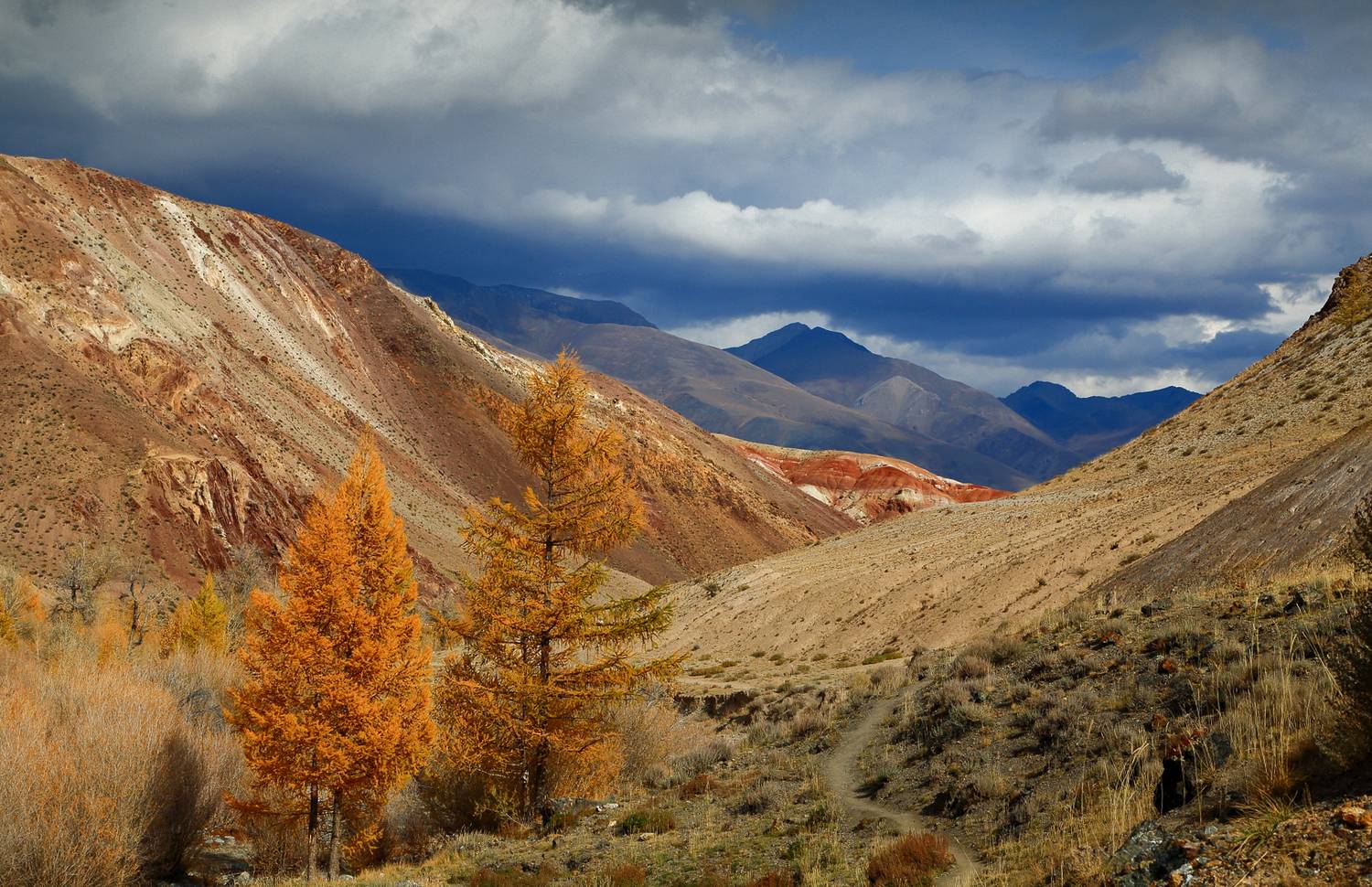 , Евгений Зинов