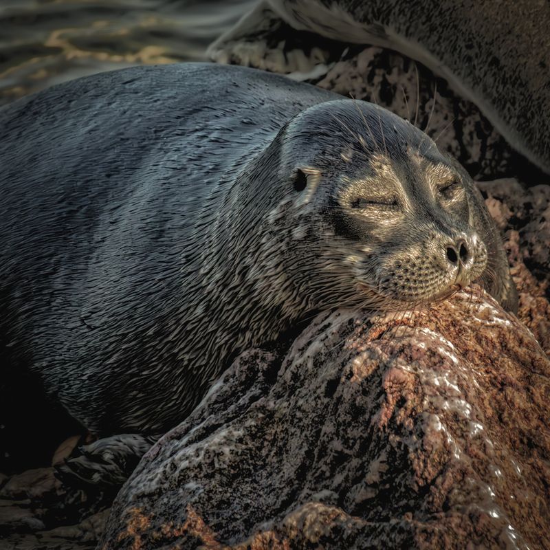 Сны...photo preview