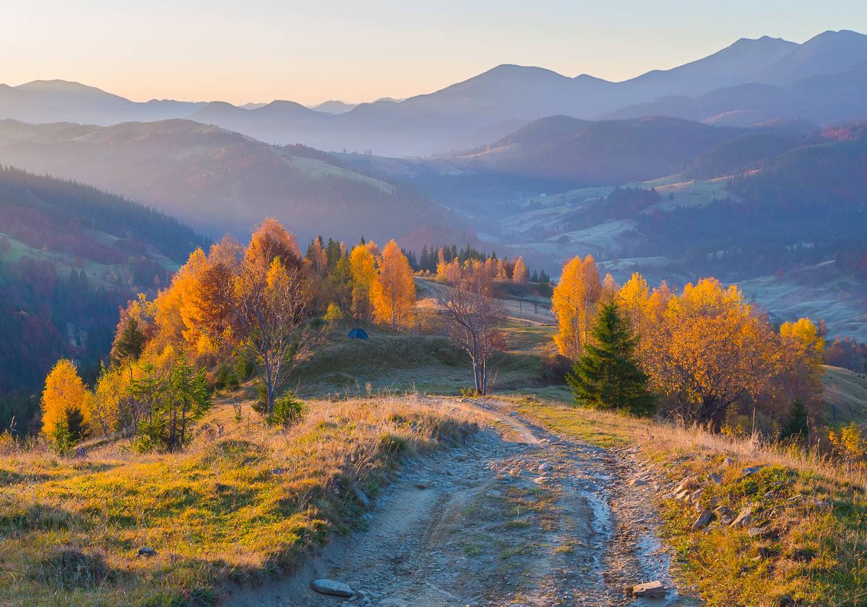, Александр Подрез