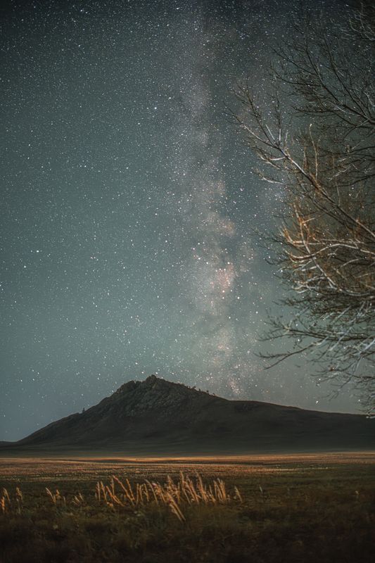 Алтай, ночь, звезды, млечный путь, гора, холм, дерево, поле Алтайский крайphoto preview