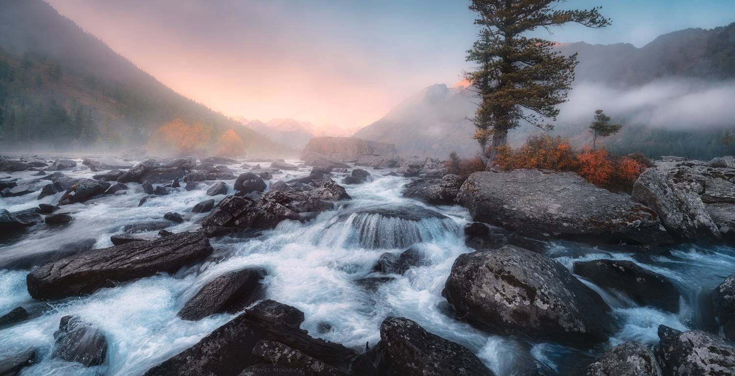 , Минаев Павел