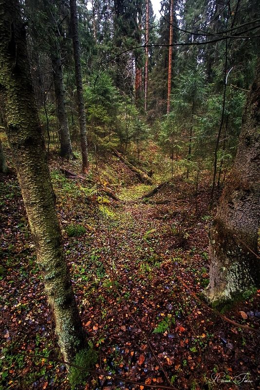 Костромской край.photo preview