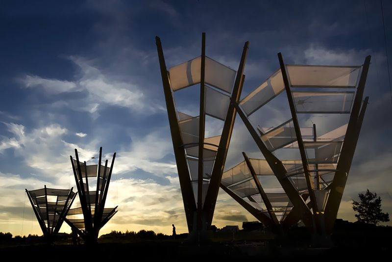 Что Это? фото превью