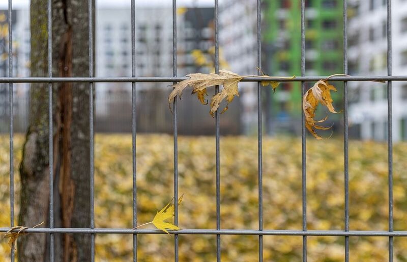 Осенние зарисовкиphoto preview