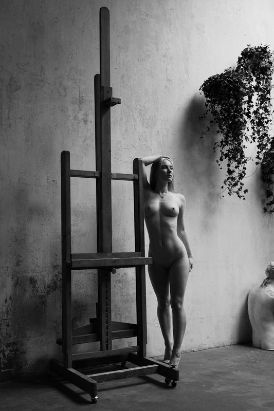 girl, model, beautiful, woman, nude, photography, ч.б Алинаphoto preview