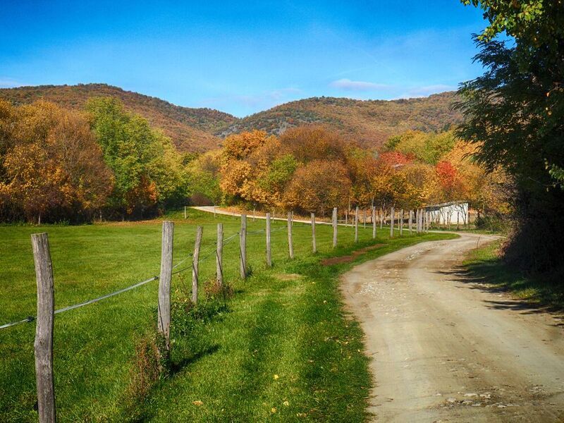Autumn walkphoto preview