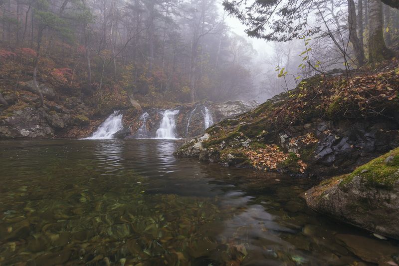 водопад, туман, тайга photo preview