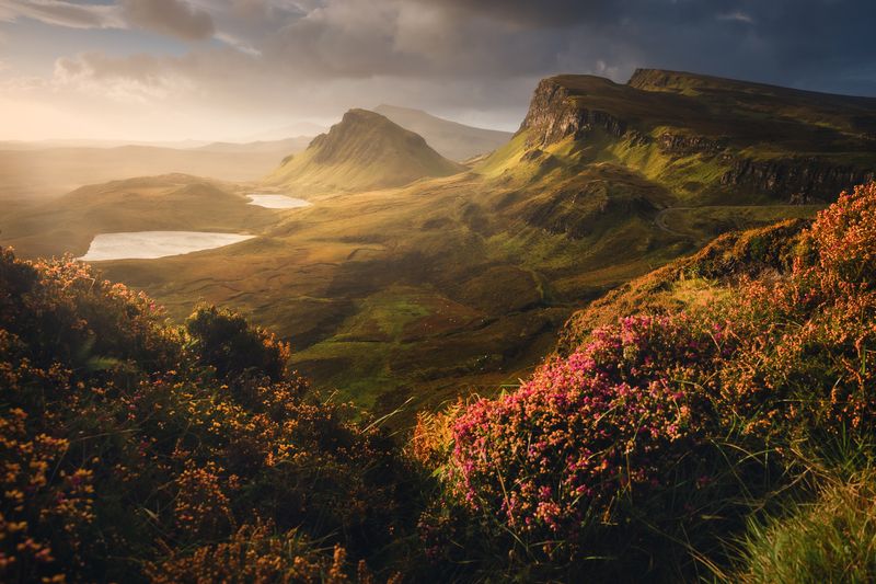 Art of lightphoto preview