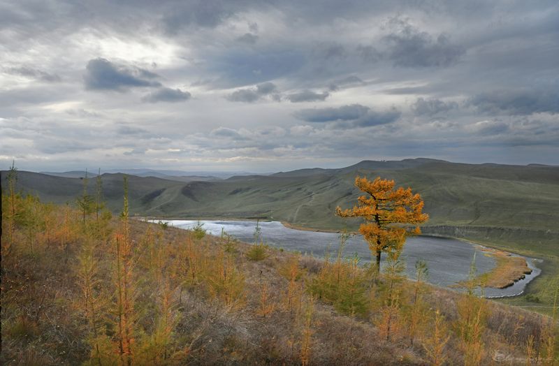 Осень в Хакасииphoto preview