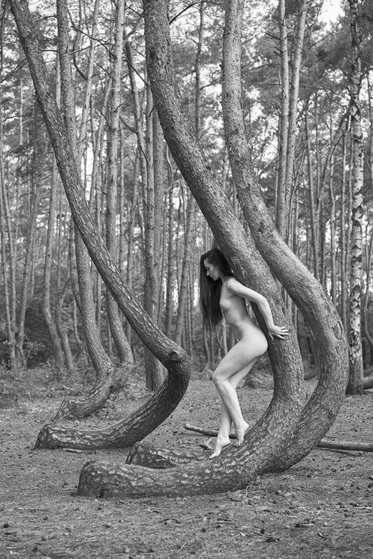 nude, forest , BW , girl ,  crooked forestphoto preview