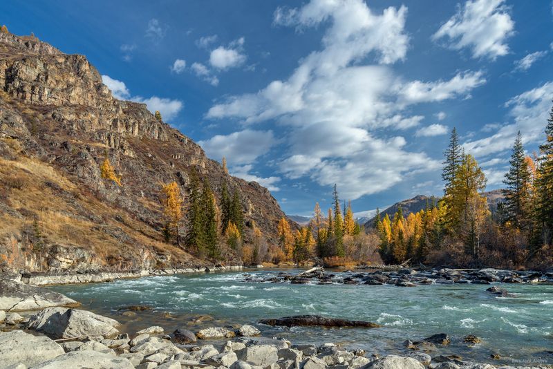 алтай, республика алтай, горный алтай, природа, река чуя, осень, золотая осень, горы Река Чуяphoto preview