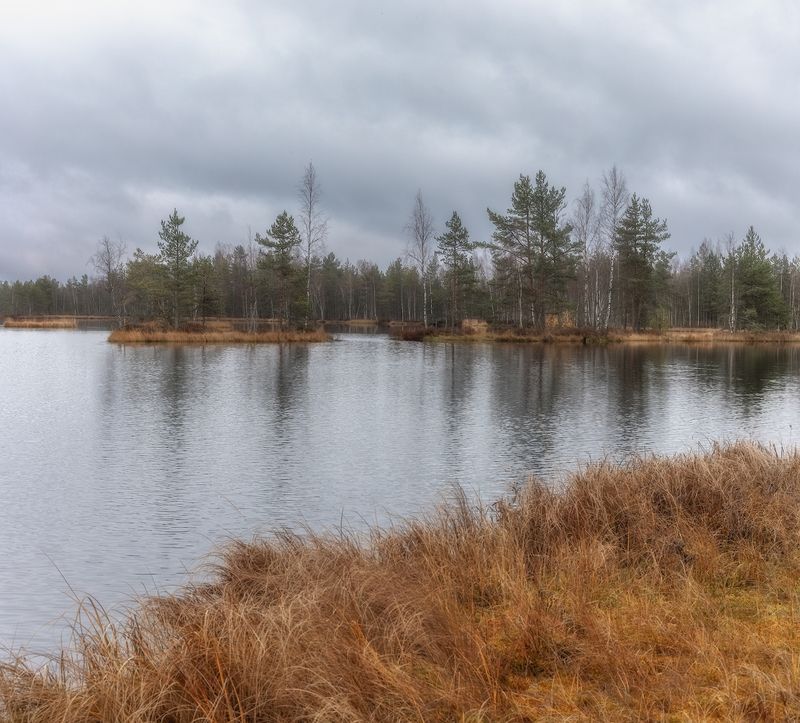 ленобласть, осень, ноябрь ***photo preview