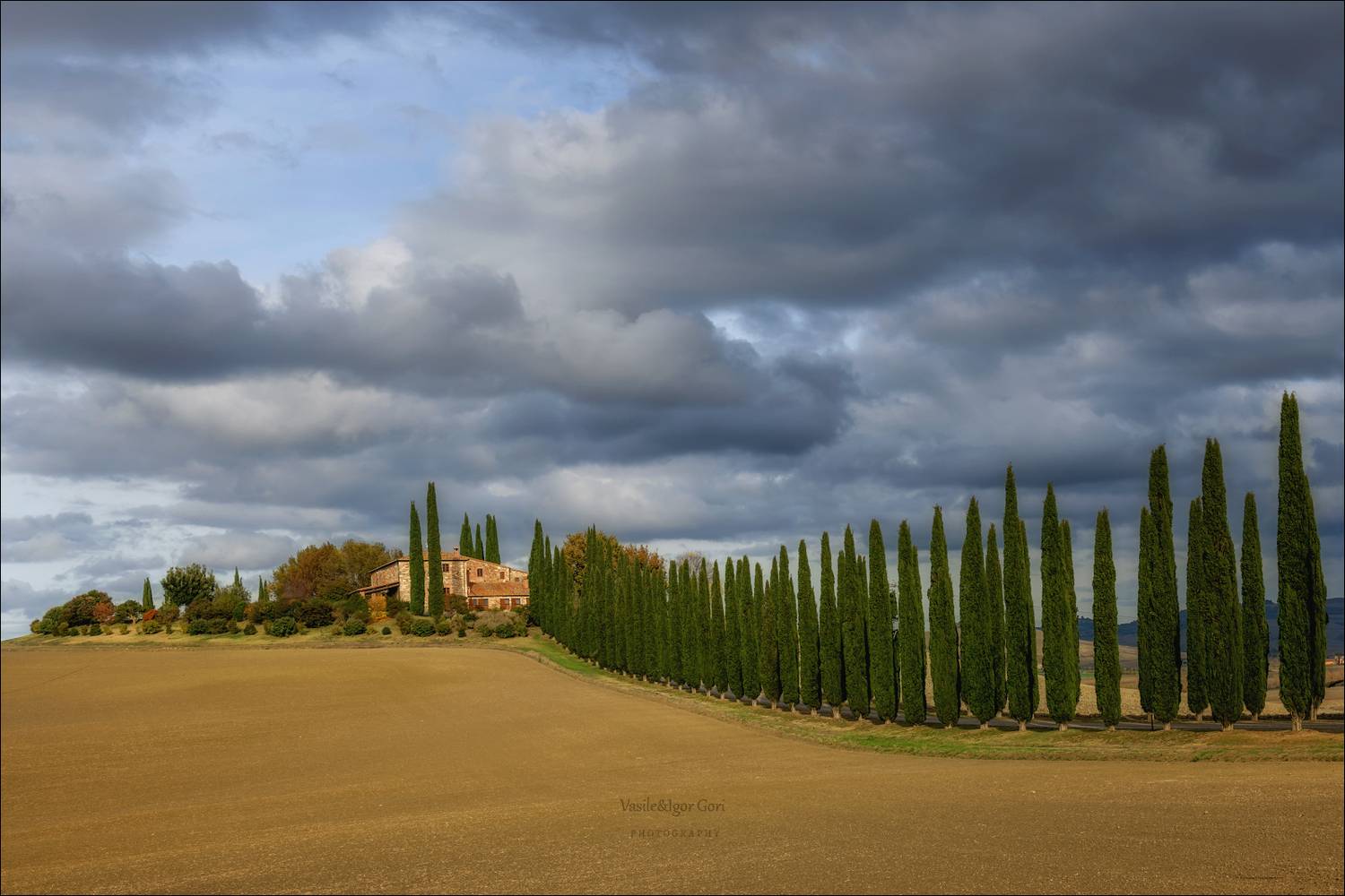 italy,san quirico d\\\'orcia,italia,италия,тоскана,pienza,кипарис,toscana,осень,tuscany,cipressi,belvedere,пьенца,тени,вилла,poggio covili, Гори Василий
