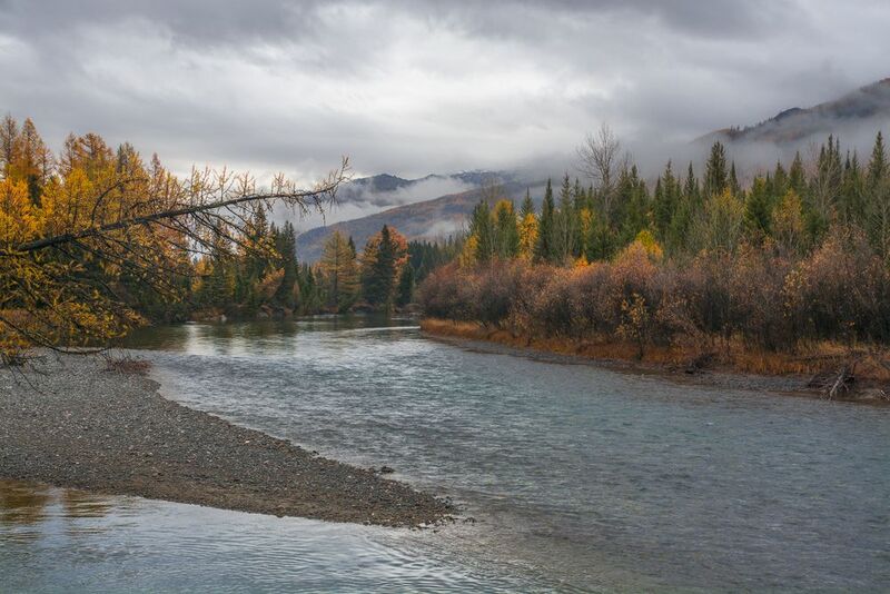 россия, горный алтай,осень, река, утро Утро после дождяphoto preview