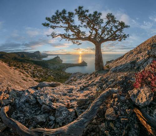 Ново Светские мотивы