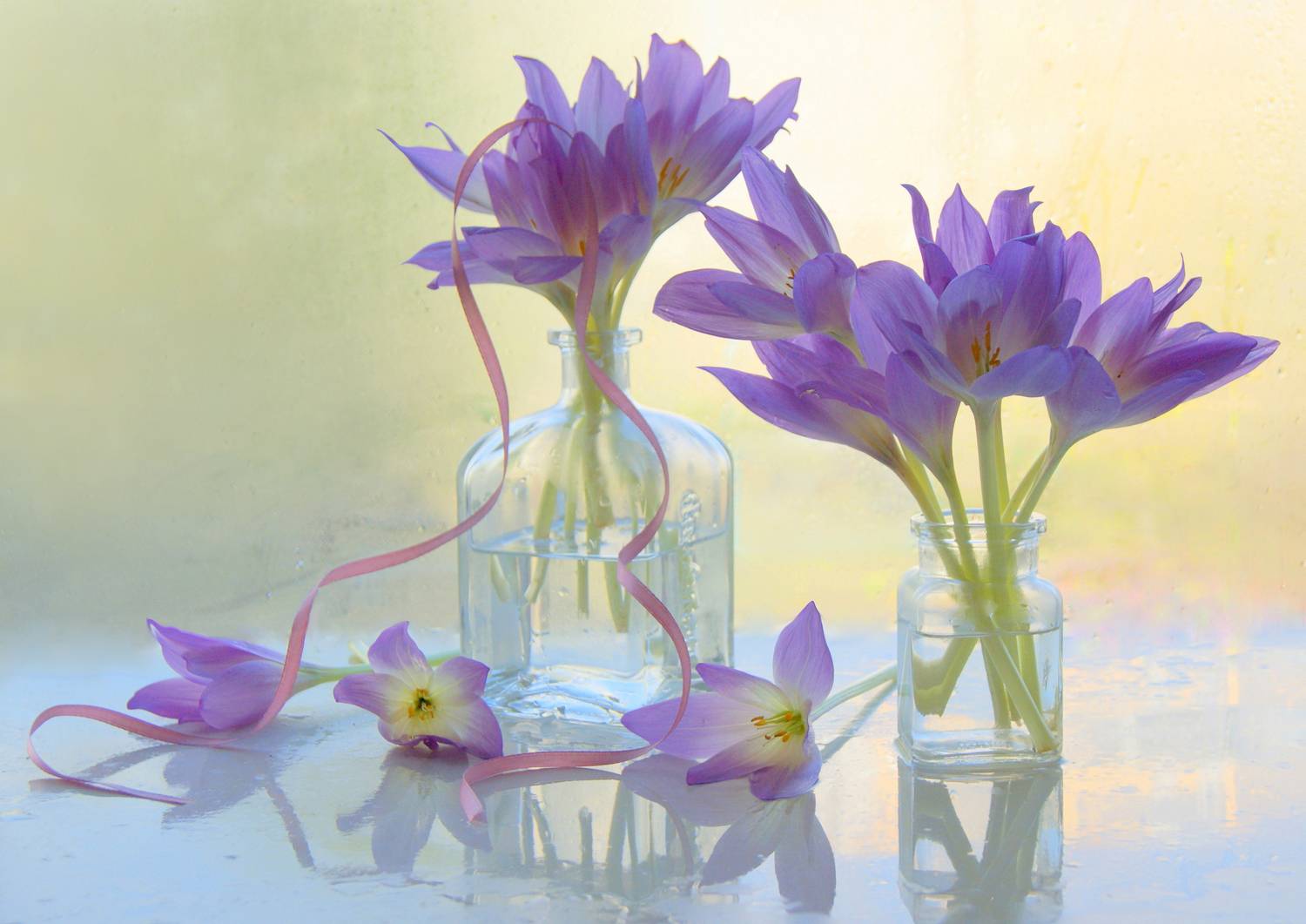 , Хохлова (Ермохина) Наталья