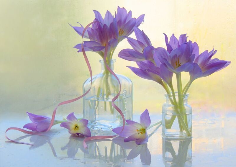 ### фото превью