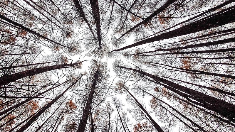 Костромской край.photo preview