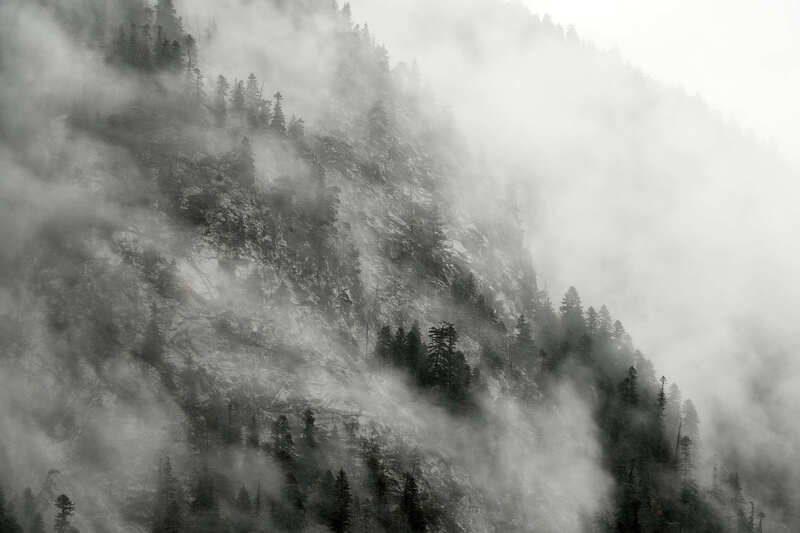 Домбай Лесphoto preview