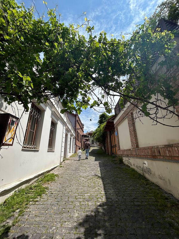 перспективный путь...photo preview