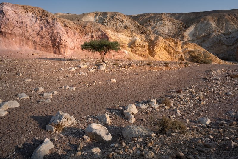 Цвет пустыниphoto preview