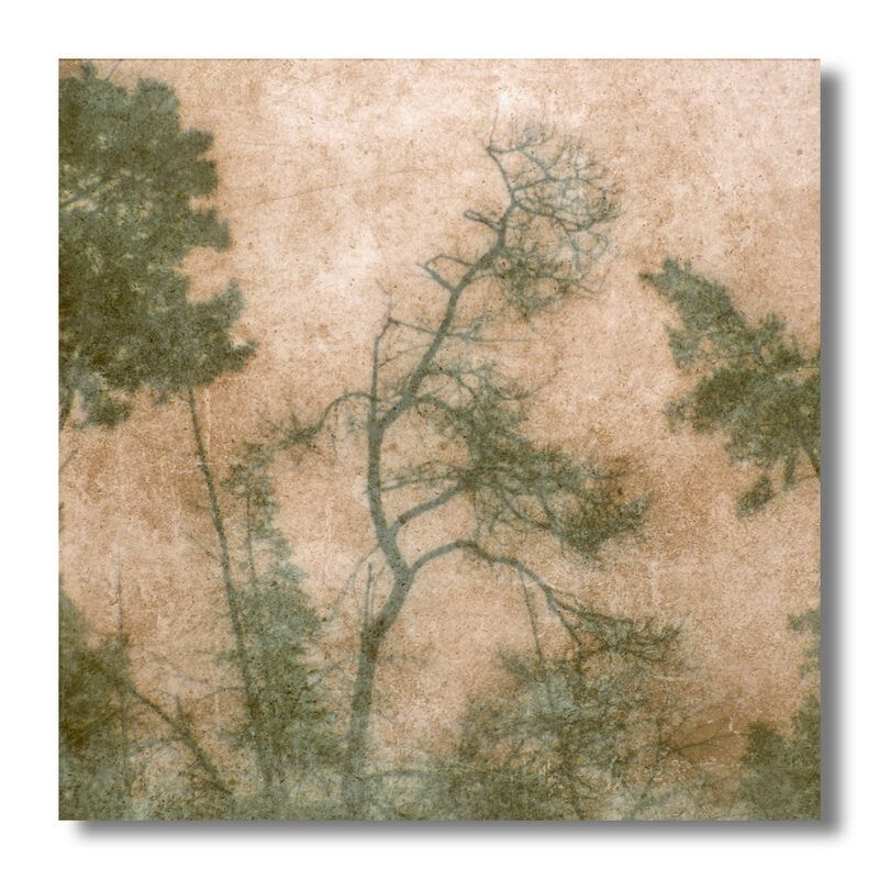 пикториализм, монокль, арт-фотография, художественная фотография, пикториальный пейзаж, пикториальная фотография, интимный пейзаж Интимный пейзаж 1photo preview