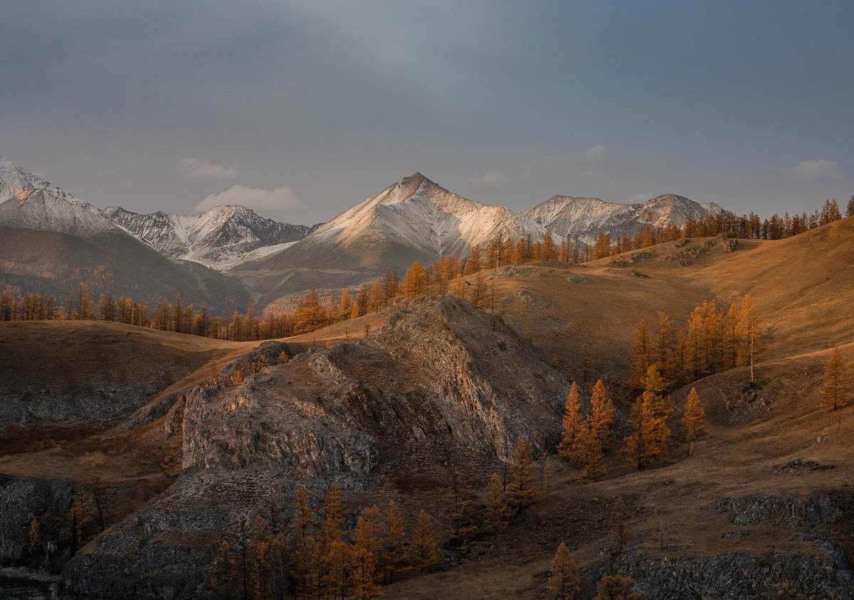 , Трофимов Алексей