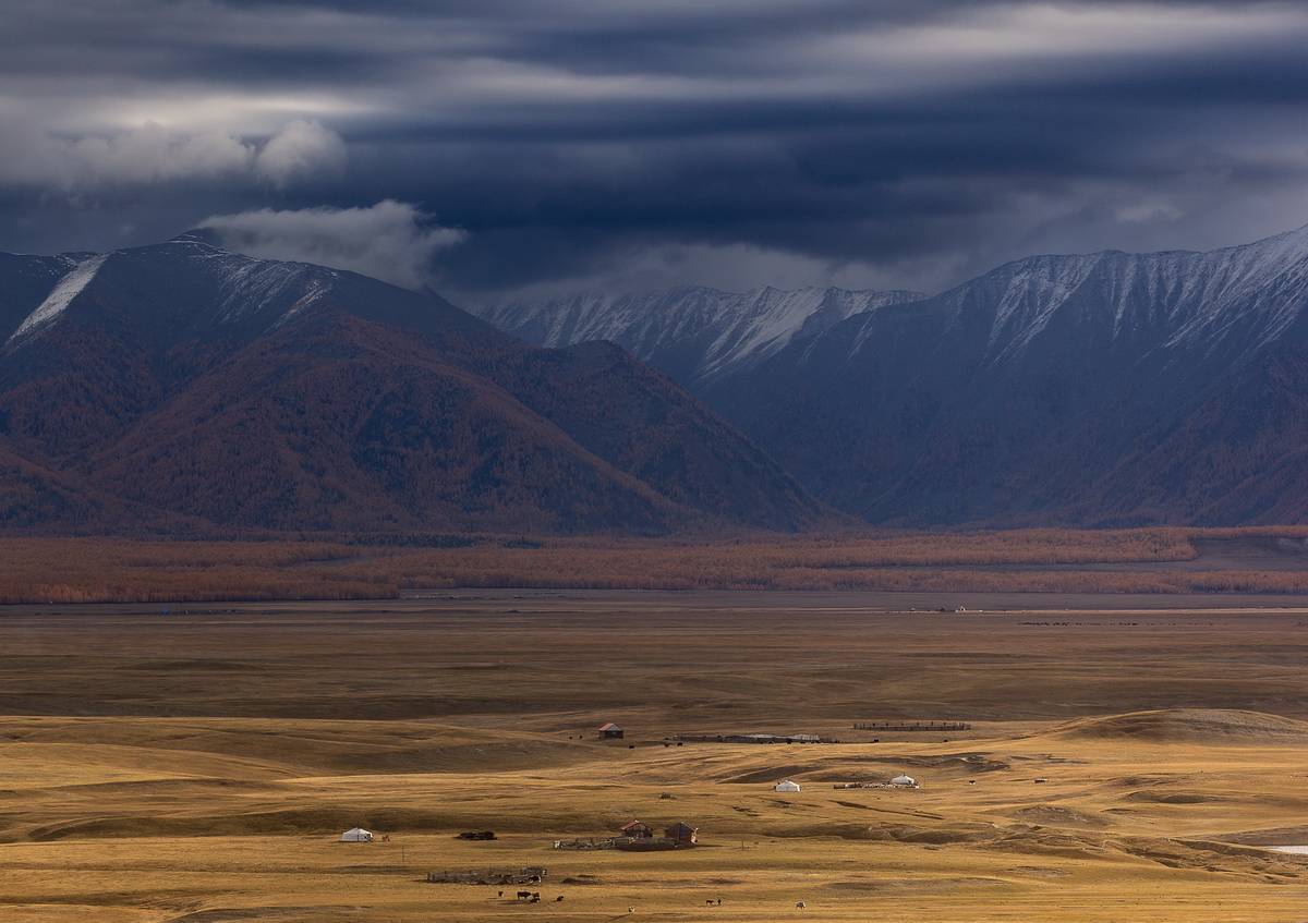 , Трофимов Алексей