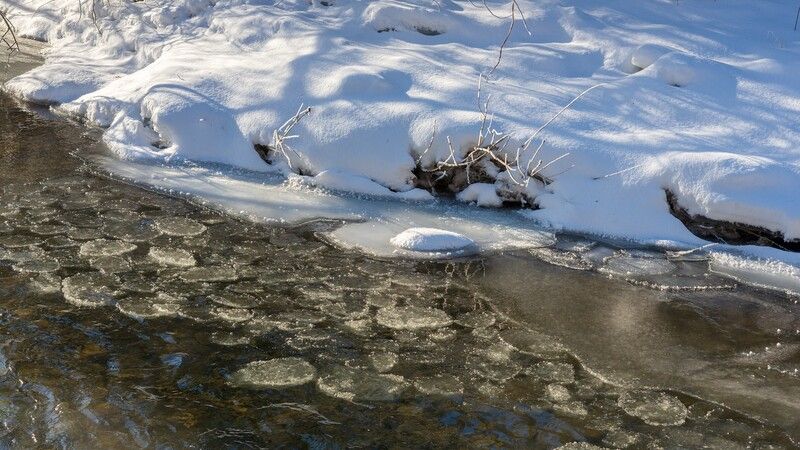 базаиха ноябрь ** *photo preview