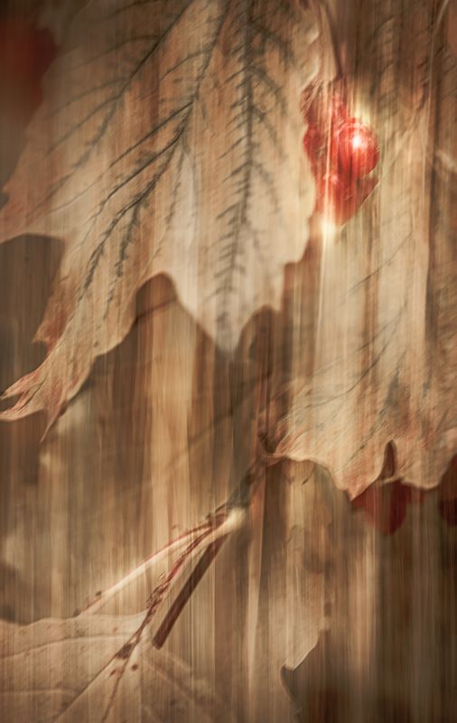 Горькая ягода калина фото превью