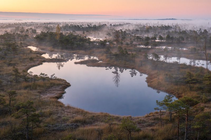Утро на болоте. Октябрьphoto preview