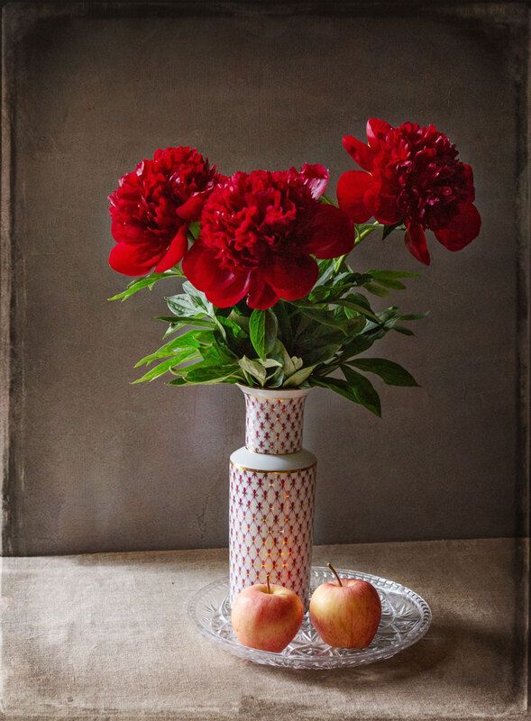 Красные пионыphoto preview