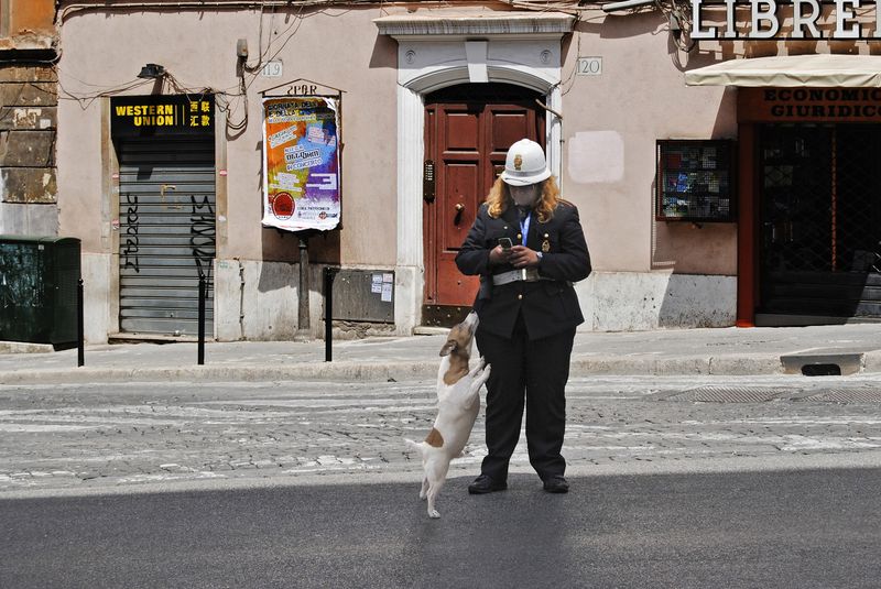 полиция, собака, улица, полицейская, штраф Ну, простите меня, пожалуйстаphoto preview