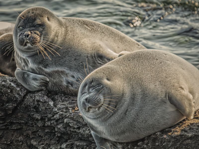 Семейный портретphoto preview