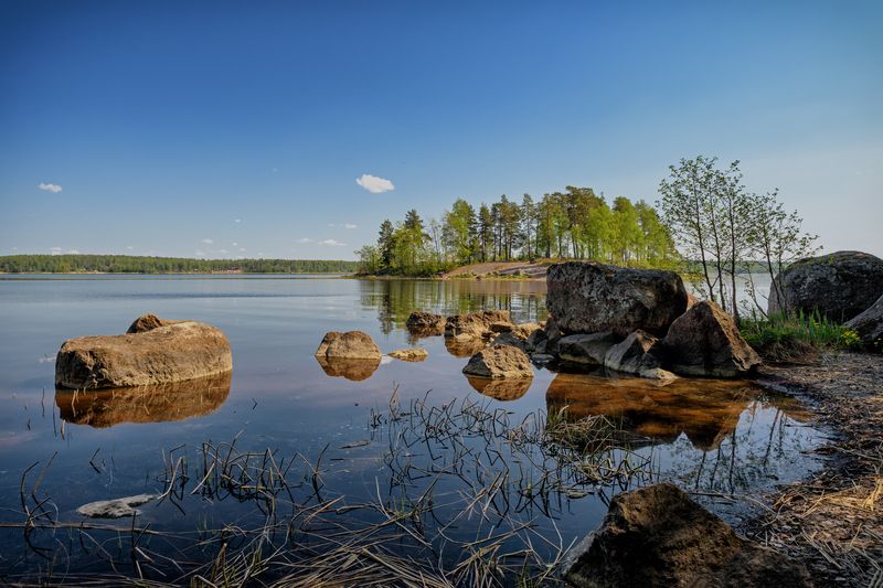 выборг. парк монрепо. весна photo preview