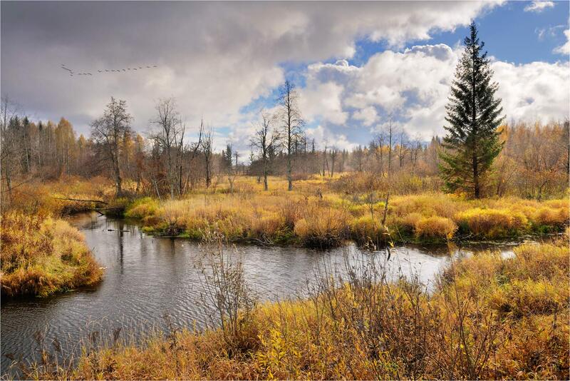 Уходил октябрьphoto preview