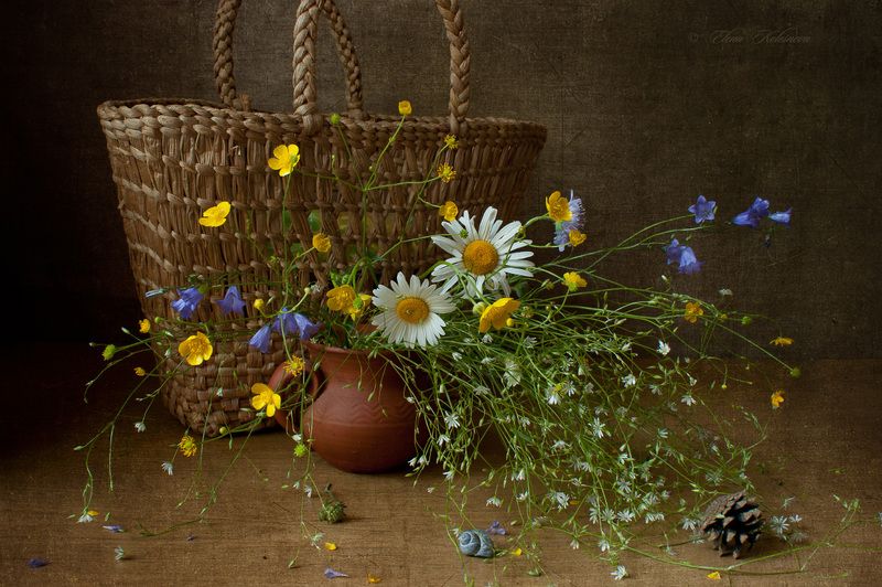 лето, букет, цветы, ромашки Букет из лесаphoto preview