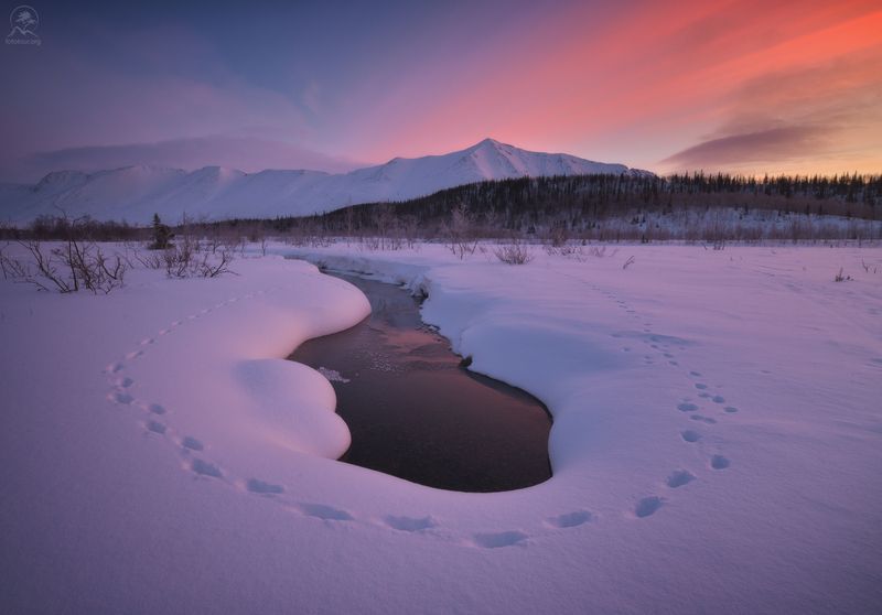 кольский, зима, фототур на кольский, мурманская область, хибины, зимний кольский, заполярье Хибиныphoto preview