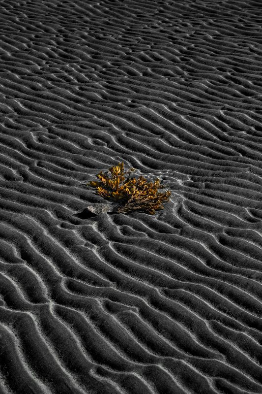 абстракция, минимализм, кольский, море Когда отступает море фото превью