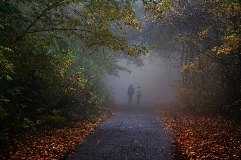 Осенний туманphoto preview