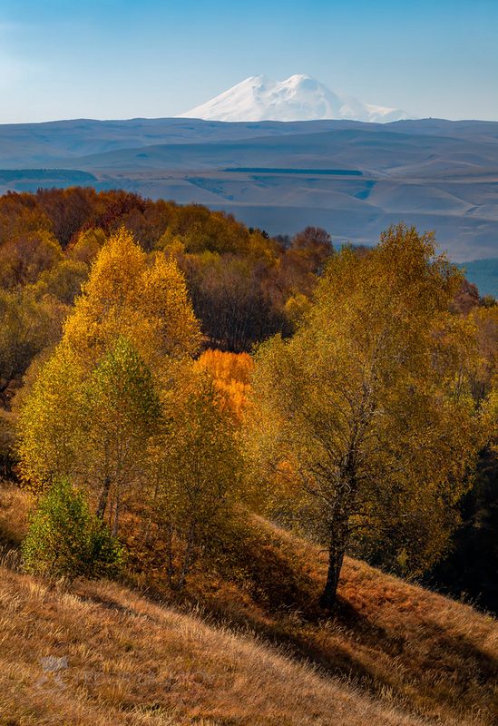 ставропольский край, ставрополье, осень, осенний, деревья, берёза, осина, дуб, лес, парк, кисловодский национальный парк, холмистый, дерево, кисловодск, днём, жёлтый, оранжевый, в парке, отдых, лесное, Кисловодский паркphoto preview