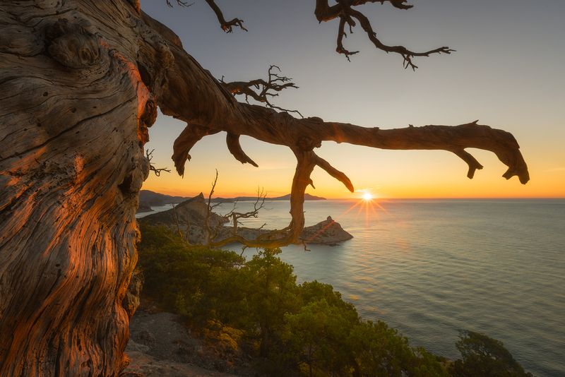 на торопе Голицынаphoto preview